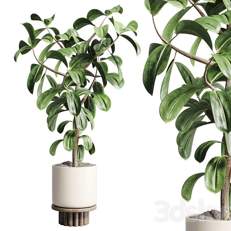 Indoor outdoor plant 106 wood vase pot ficus rubbery 3DS Max Model - thumbnail 1