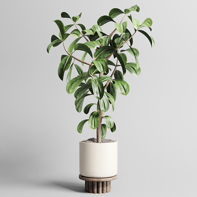 Indoor outdoor plant 106 wood vase pot ficus rubbery 3DSMax File - thumbnail 2