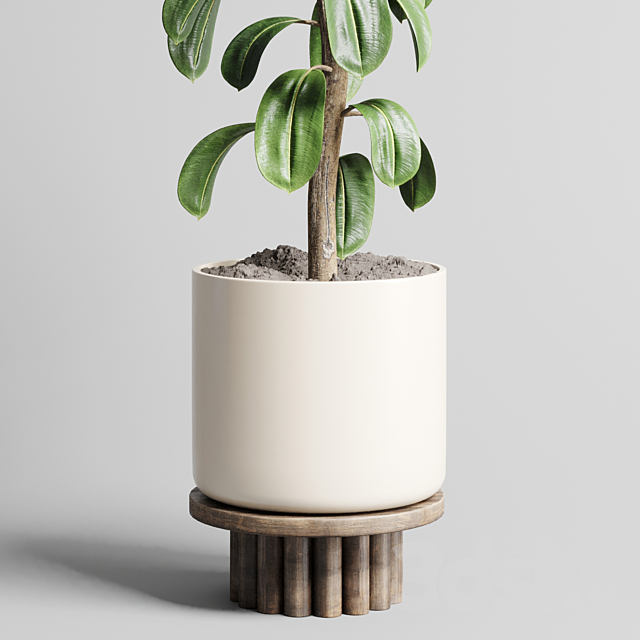 Indoor outdoor plant 106 wood vase pot ficus rubbery 3DSMax File - thumbnail 3