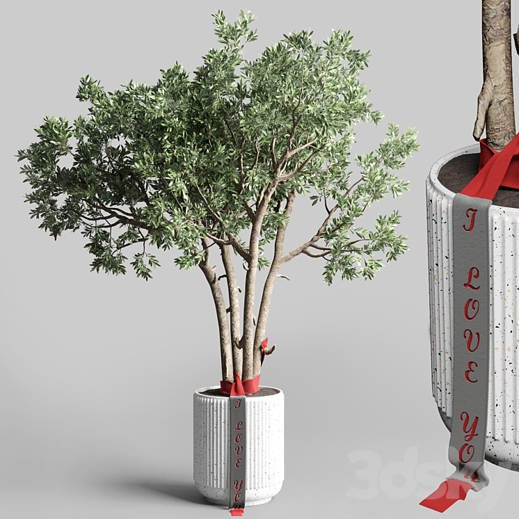 Indoor outdoor plant 111 pot friendship-love tree concrete vase 3DS Max Model - thumbnail 3