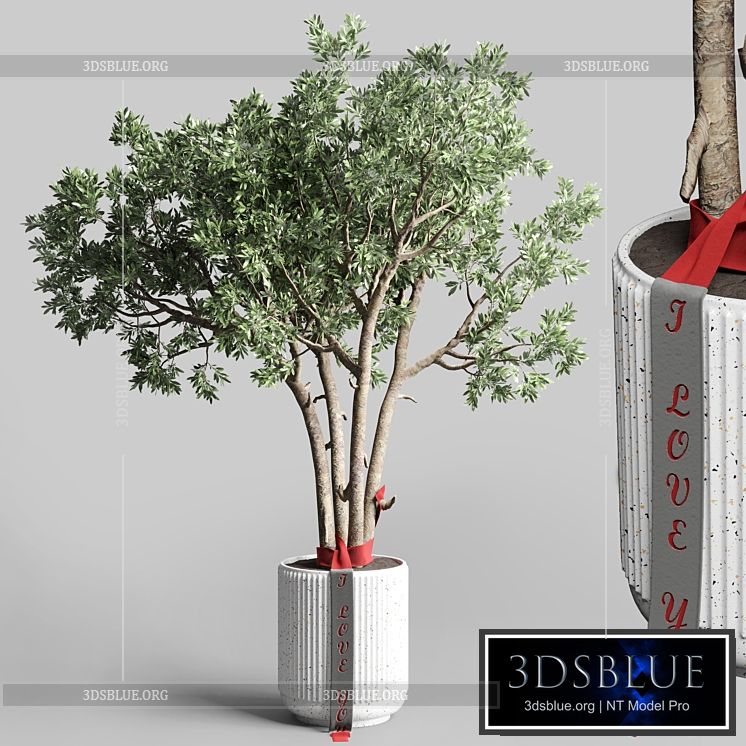 Indoor outdoor plant 111 pot friendship-love tree concrete vase 3DS Max - thumbnail 3