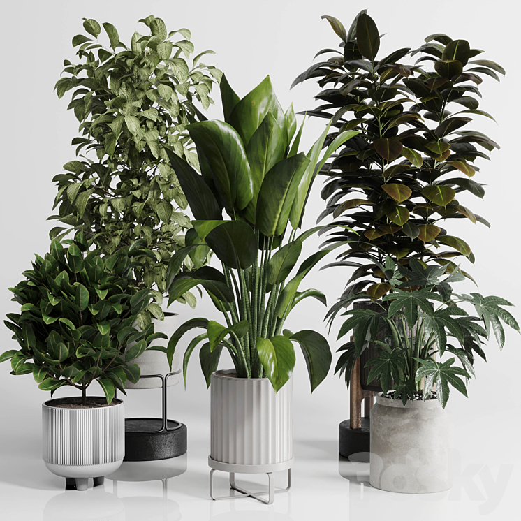 Indoor Outdoor plant Set 289 plant ficus rubbery tree vase dirty concrete 3DS Max Model - thumbnail 1