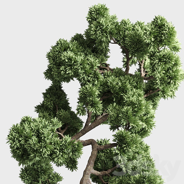 indoor outdoor plants 134 pots tree bonsai 3DSMax File - thumbnail 4