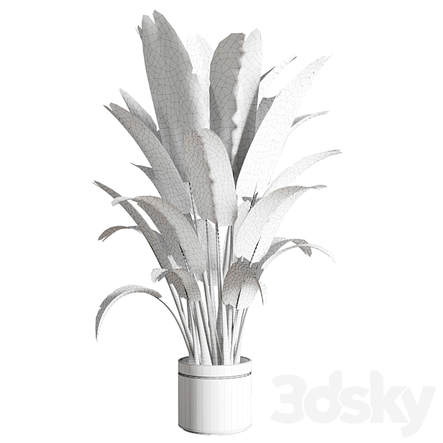 indoor outdoor plants 157 pot palnt ravenala concrete vase 3ds Max - thumbnail 3