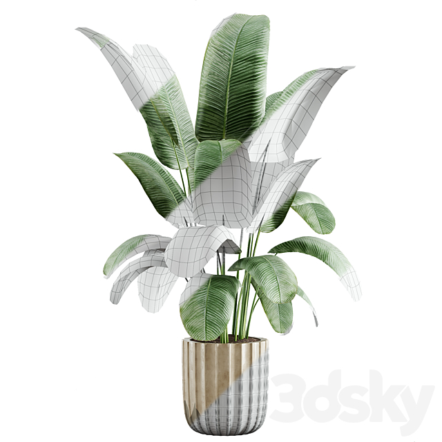 indoor plant 01 3ds Max - thumbnail 3