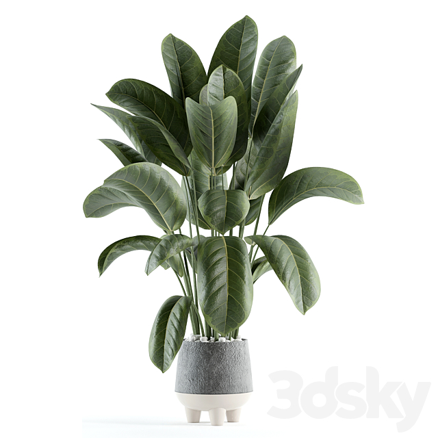 indoor plant 152 3ds Max - thumbnail 2