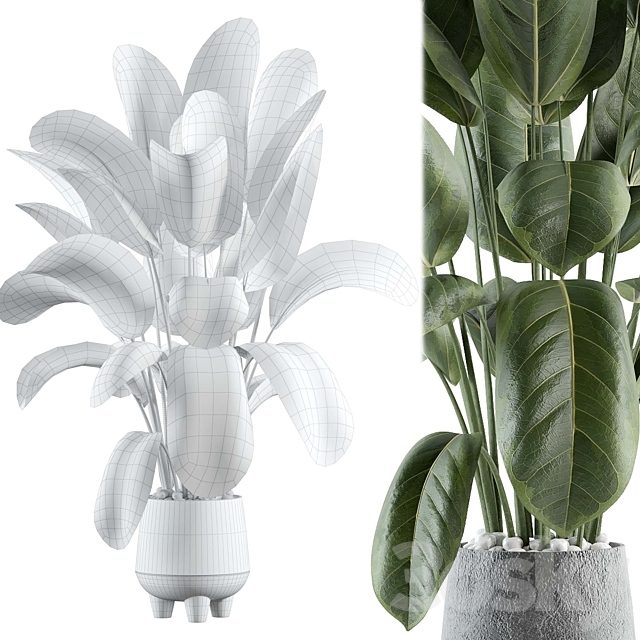 indoor plant 152 3ds Max - thumbnail 3