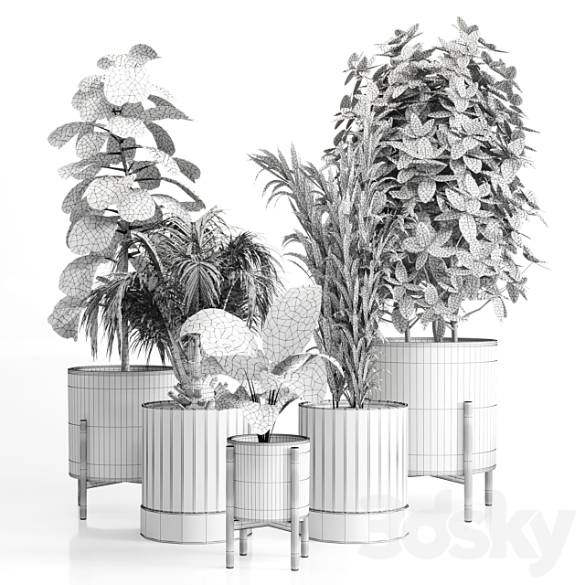 Indoor plant 20 3DSMax File - thumbnail 4