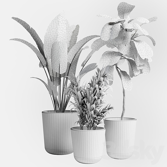 Indoor plant 21 3DSMax File - thumbnail 4