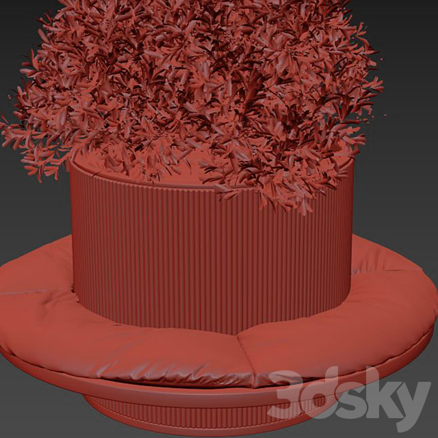 indoor Plant 249 3DSMax File - thumbnail 4