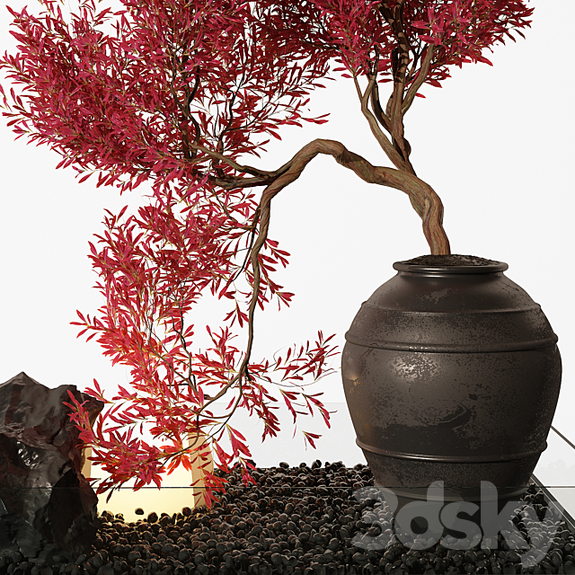 indoor Plant 253 3DSMax File - thumbnail 2