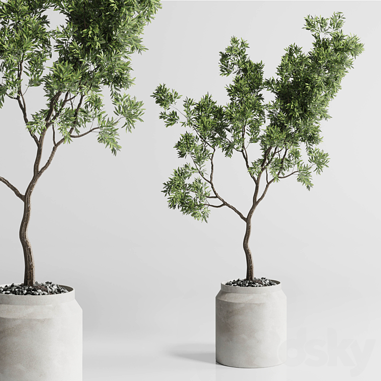 Indoor plant 285 concrete dirt vase plant tree pot 3DS Max Model - thumbnail 1