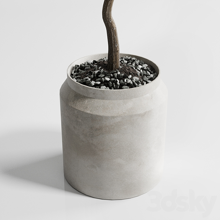 Indoor plant 285 concrete dirt vase plant tree pot 3DS Max Model - thumbnail 2