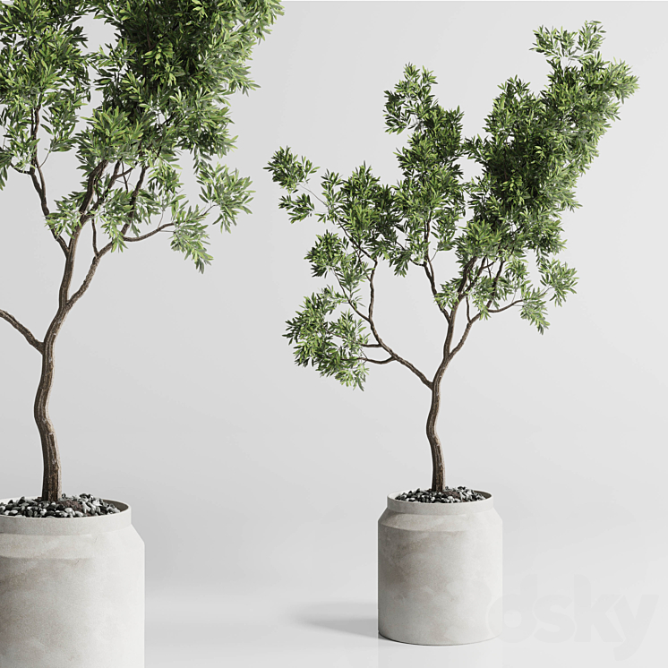 Indoor plant 285 concrete dirt vase plant tree pot 3DS Max - thumbnail 1