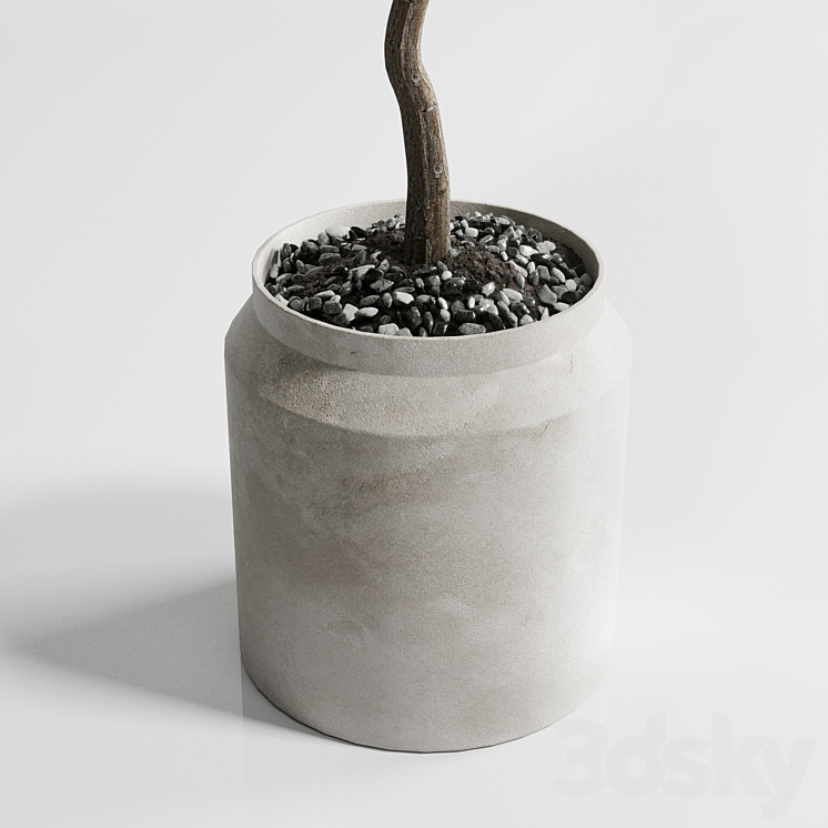 Indoor plant 285 concrete dirt vase plant tree pot 3DS Max - thumbnail 2