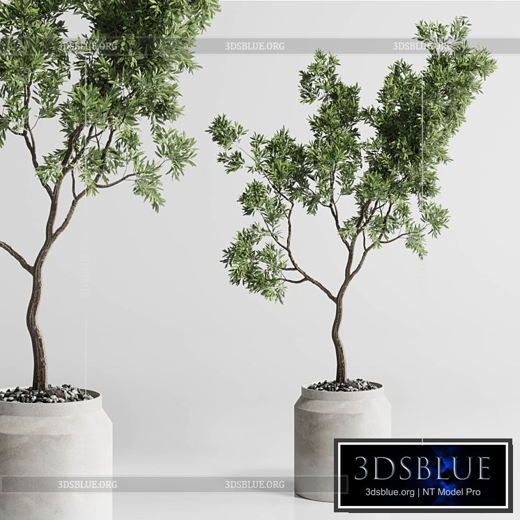 Indoor plant 285 concrete dirt vase plant tree pot 3DS Max - thumbnail 3