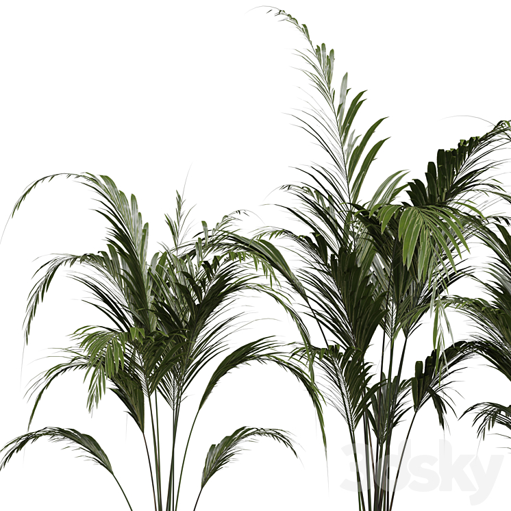 indoor Plant 286 3DS Max Model - thumbnail 2