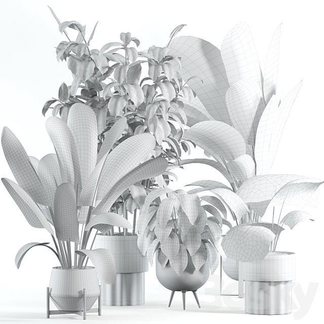 indoor plant 308 3ds Max - thumbnail 2