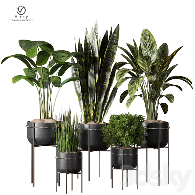 indoor Plant 4 3ds Max - thumbnail 1