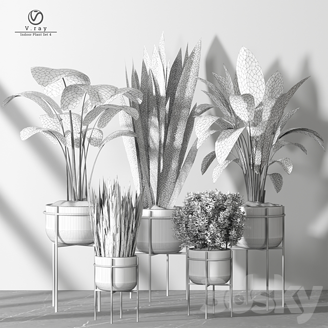 indoor Plant 4 3ds Max - thumbnail 3