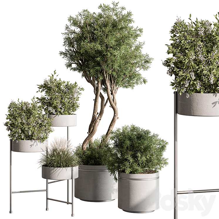 indoor Plant 433 – Tree and Bush 3DS Max Model - thumbnail 2