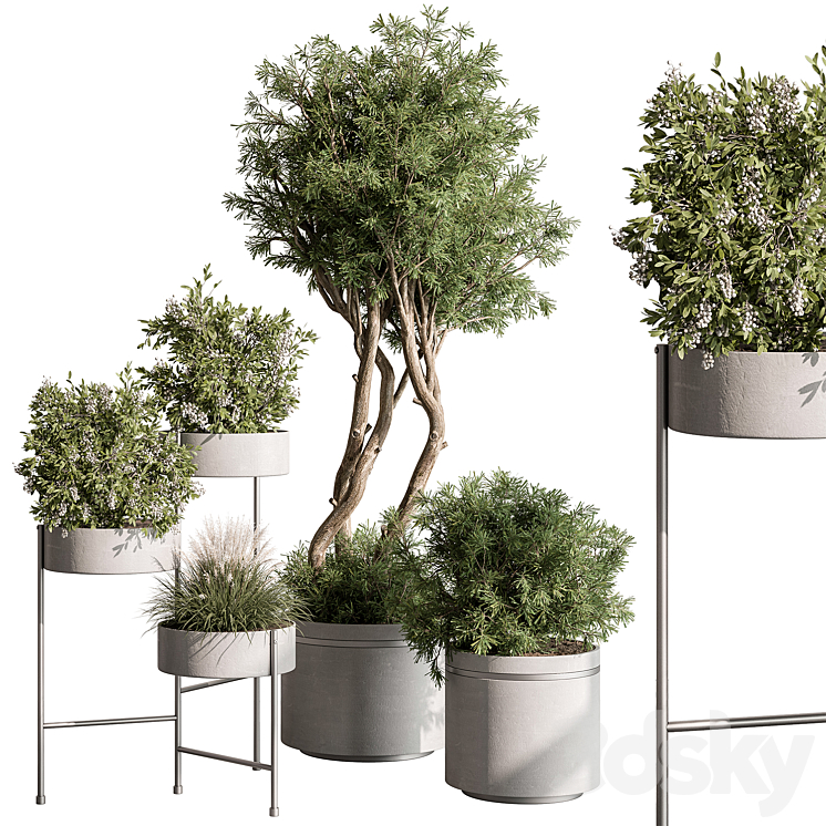 indoor Plant 433 – Tree and Bush 3DS Max - thumbnail 2