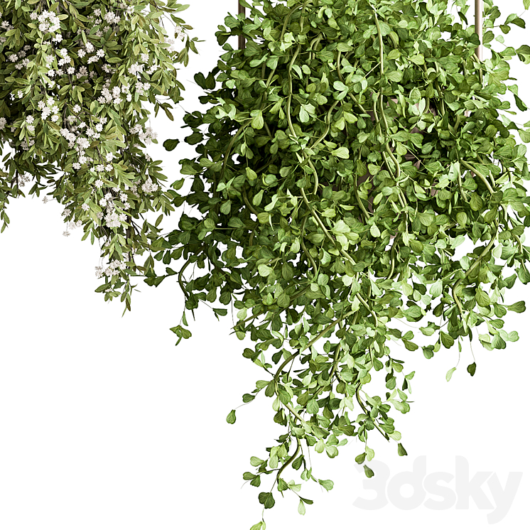 indoor Plant 438 – Hanging Plants 3DS Max Model - thumbnail 2