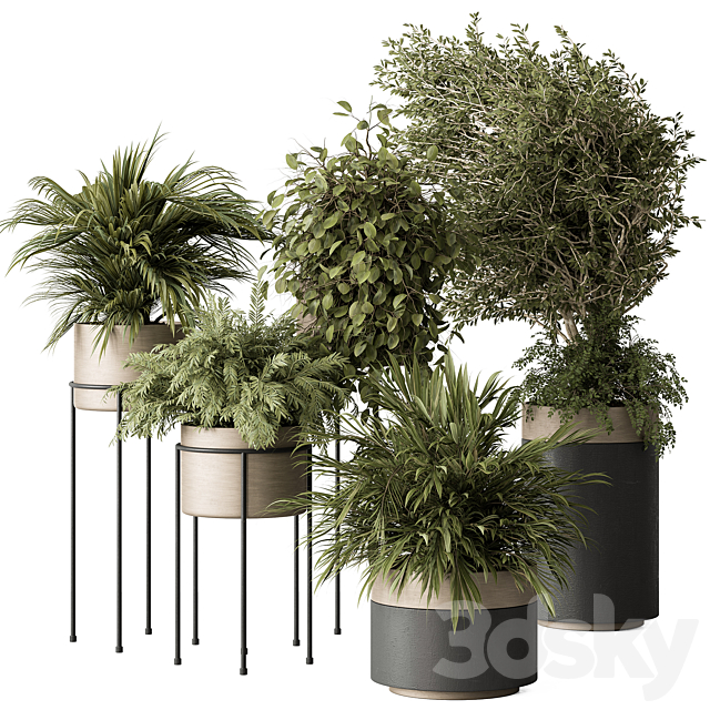 indoor Plant 442 – Tree and Bush 3DSMax File - thumbnail 2