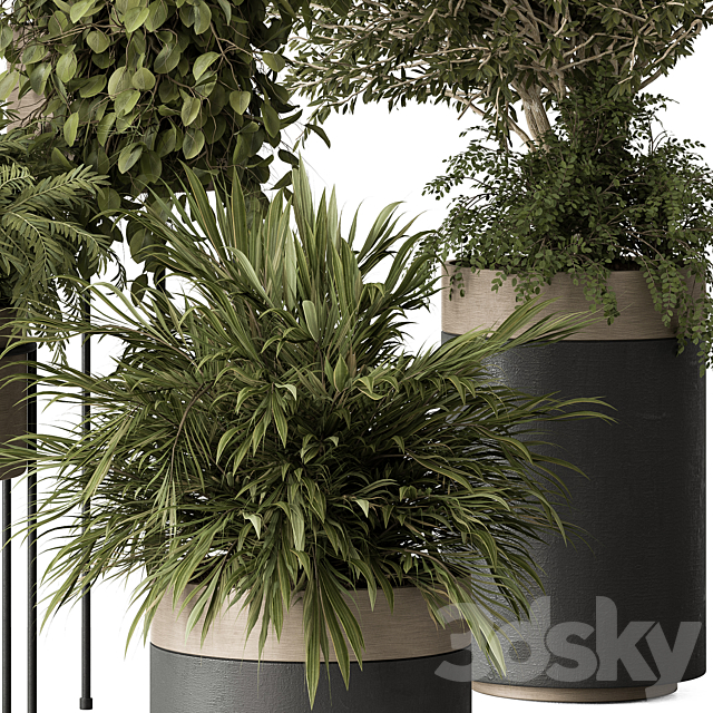 indoor Plant 442 – Tree and Bush 3DSMax File - thumbnail 4