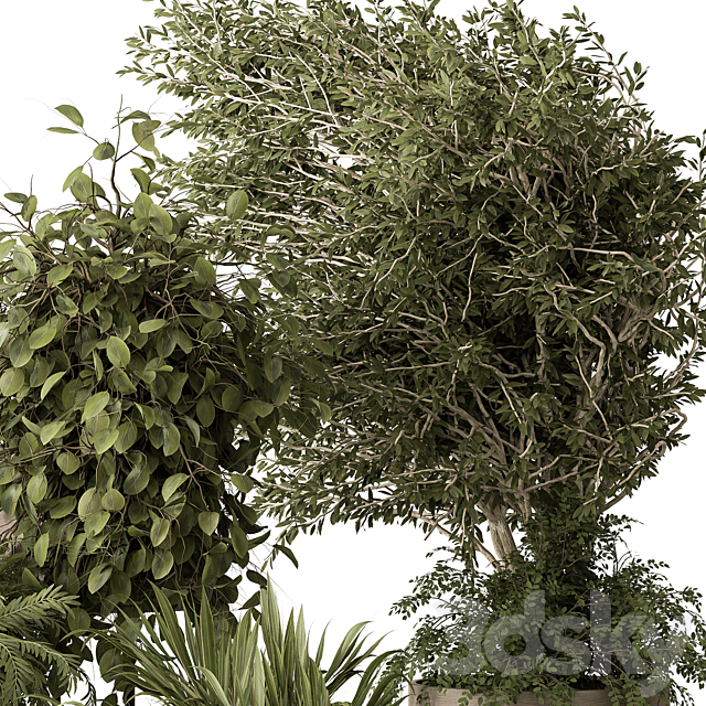 indoor Plant 442 – Tree and Bush 3DSMax File - thumbnail 5