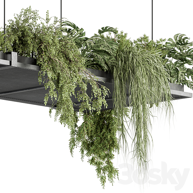 indoor Plant 443 – Hanging Plants 3DS Max Model - thumbnail 4