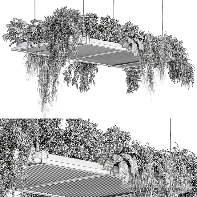 indoor Plant 443 – Hanging Plants 3DS Max Model - thumbnail 5