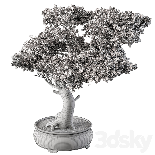 indoor Plant 451 – Bonsai Plant 3DSMax File - thumbnail 4