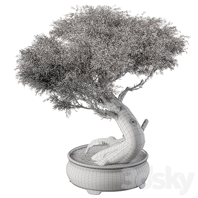 indoor Plant 452 – Bonsai Plant 3DSMax File - thumbnail 5