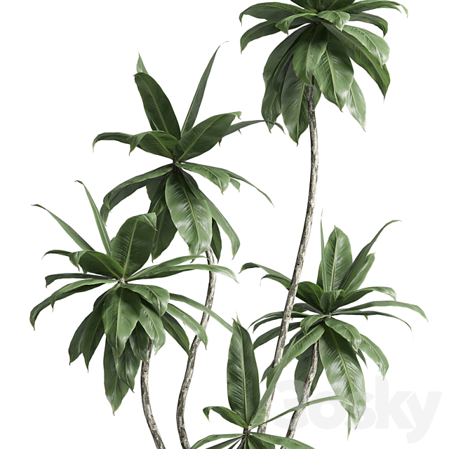 Indoor plant 460 concrete dirt vase plant fiucs tree pot 3DS Max Model - thumbnail 3