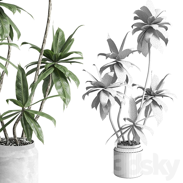 Indoor plant 460 concrete dirt vase plant fiucs tree pot 3DS Max Model - thumbnail 6