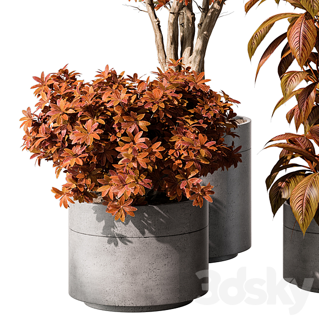 indoor Plant 463 – Tree and Bush 3DS Max Model - thumbnail 4