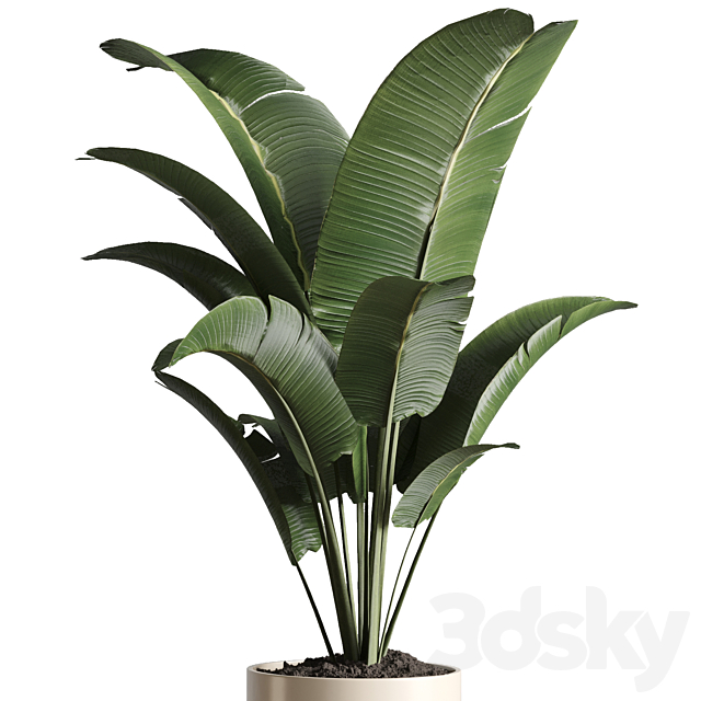 Indoor plant 48 vase wood 3DSMax File - thumbnail 2