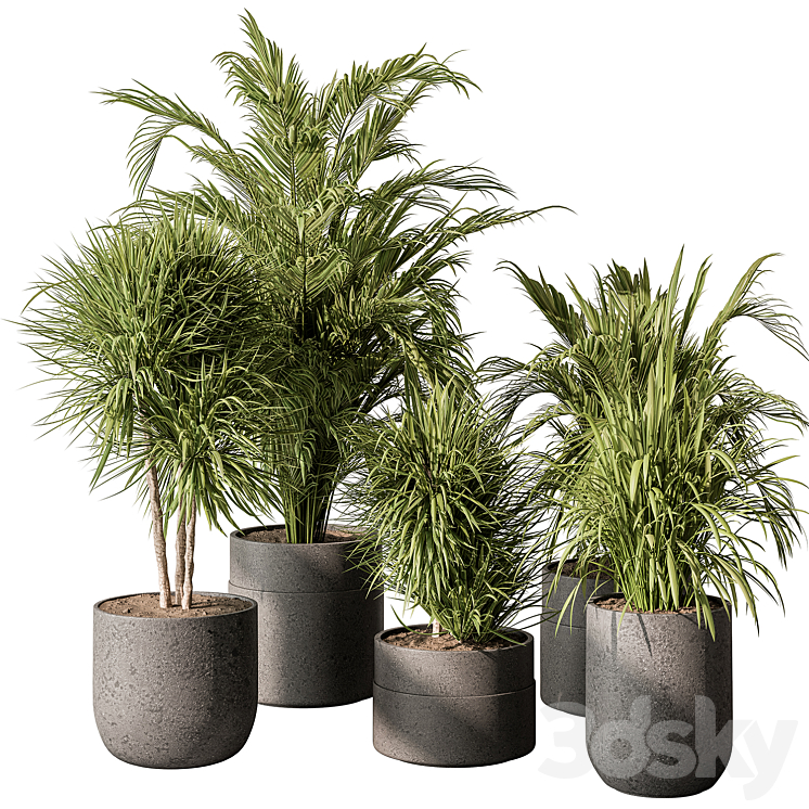 indoor Plant 483 – Tropical Plants 3DS Max Model - thumbnail 1