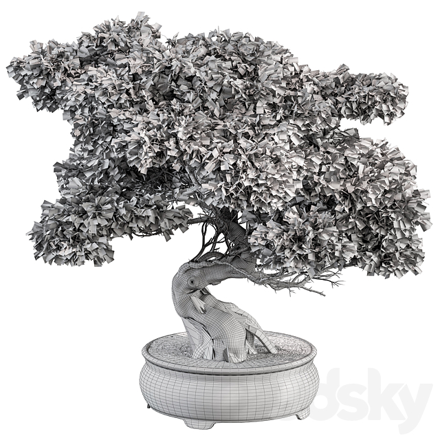 indoor Plant 491 – Bonsai Plant 3DSMax File - thumbnail 4