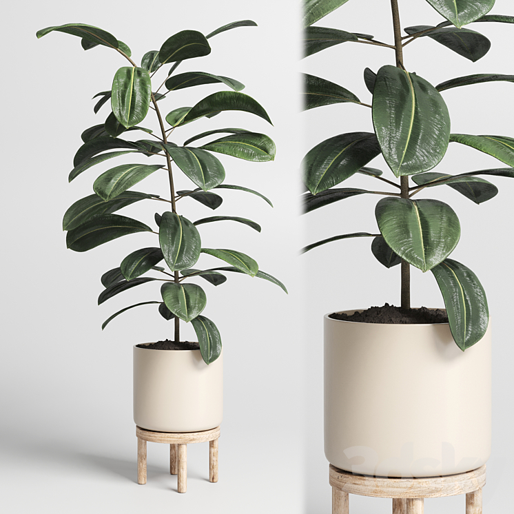 Indoor plant 53 vase wood 3DS Max - thumbnail 1