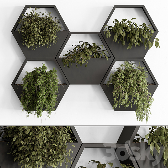 indoor Plant 536 – Hanging Plants 3DS Max Model - thumbnail 2