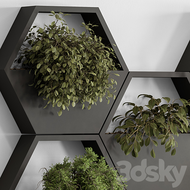 indoor Plant 536 – Hanging Plants 3DS Max Model - thumbnail 3