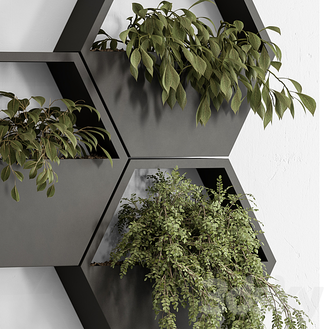 indoor Plant 536 – Hanging Plants 3DS Max Model - thumbnail 4