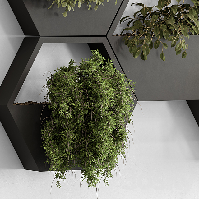 indoor Plant 536 – Hanging Plants 3DS Max Model - thumbnail 5