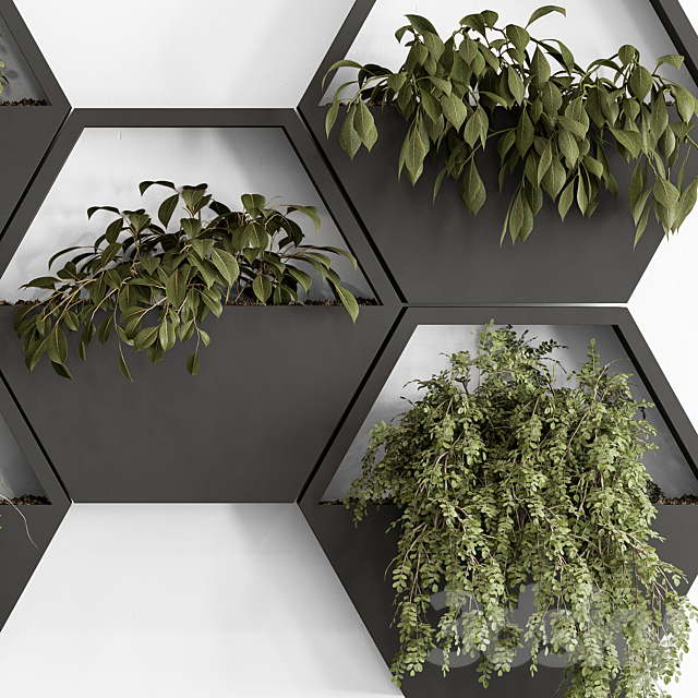 indoor Plant 536 – Hanging Plants 3DS Max Model - thumbnail 6