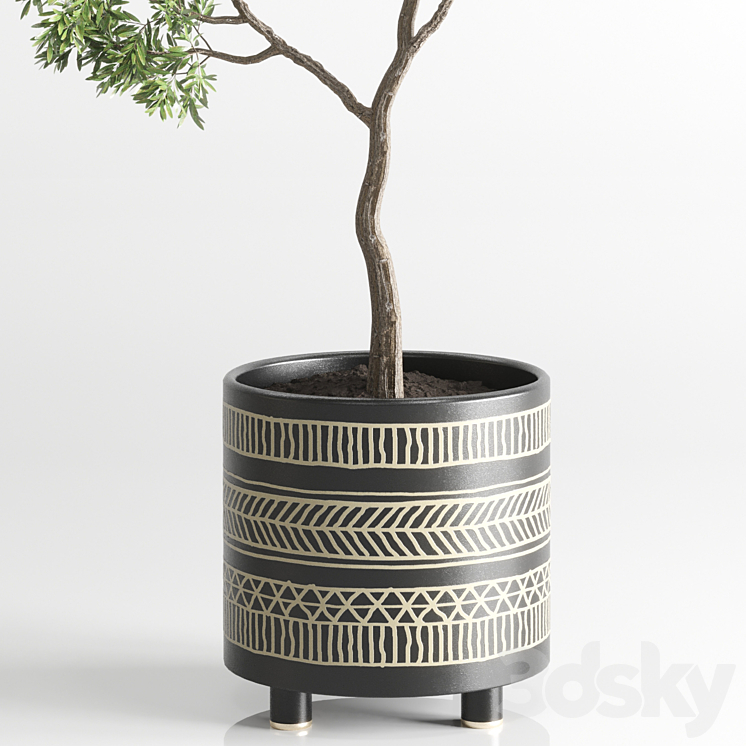 Indoor plant 56 vase handmade pottery plant tree pot 3DS Max - thumbnail 2