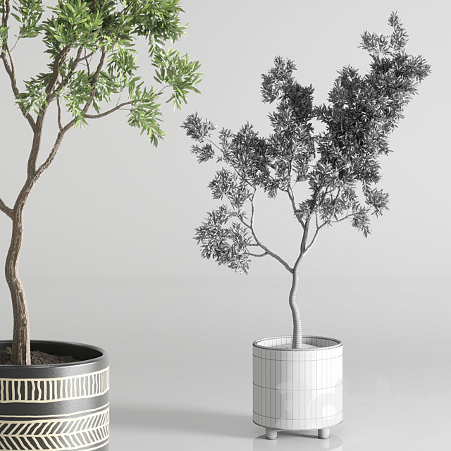 Indoor plant 56 vase handmade pottery plant tree pot 3DSMax File - thumbnail 7