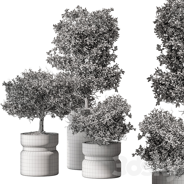 Indoor Plant 566 -Tree in Pot 3DS Max Model - thumbnail 6