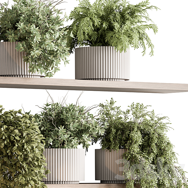 indoor Plant 599 – Hanging Plants 3ds Max - thumbnail 2